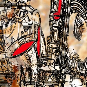 Saxo plexi